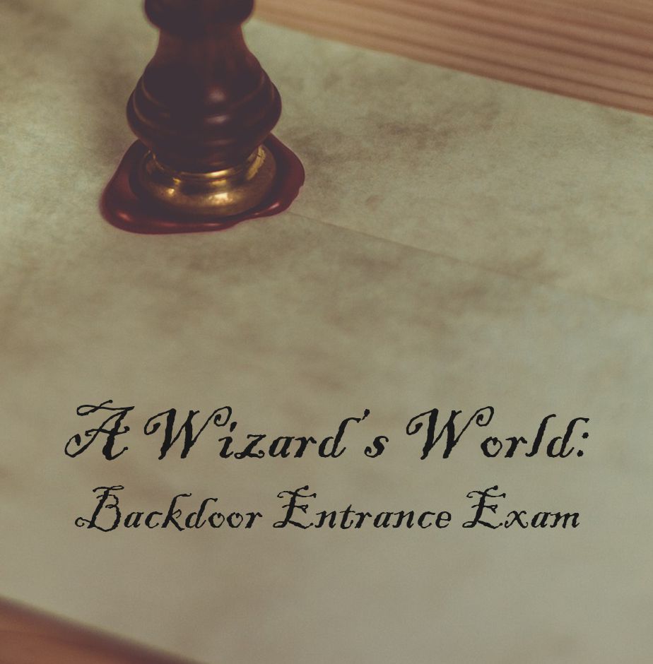 A Wizard's World: Backdoor Entrance Exam Poster